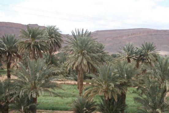 Tafraoute Sidi Ali Maggaman Guest House מראה חיצוני תמונה